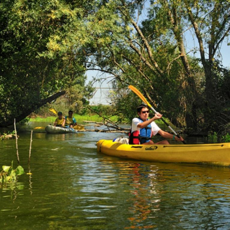 Canoeing routes