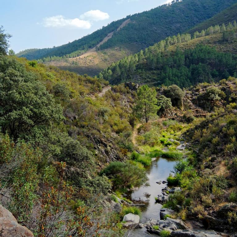 Cascada y ruta del Chorritero